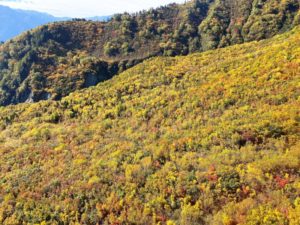 立山ロープウェイからのタンボ平１