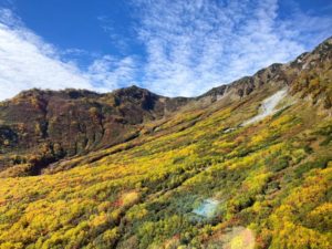 立山ロープウェイからのタンボ平２