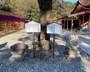 富士山本宮浅間大社　富士山本宮浅間神社　火山弾・南極の石　