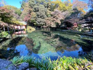 富士山本宮浅間大社 湧玉池