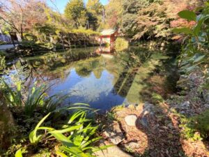 富士山本宮浅間大社　湧玉池