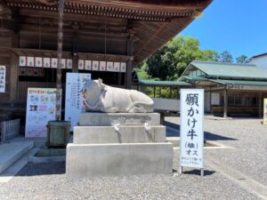 見付天神社　願かけ牛（雄）