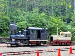 ボールドウィン製蒸気機関車・横から