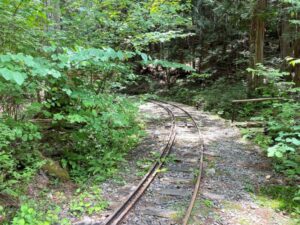 赤沢森林鉄道　レール（軌道）