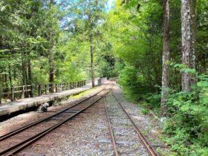 赤沢森林鉄道　線路