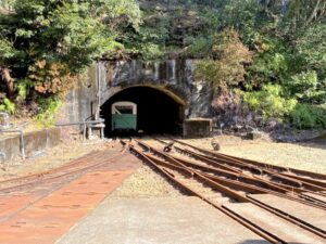 鉱山トロッコ電車
（入鹿温泉瀞流荘駅）